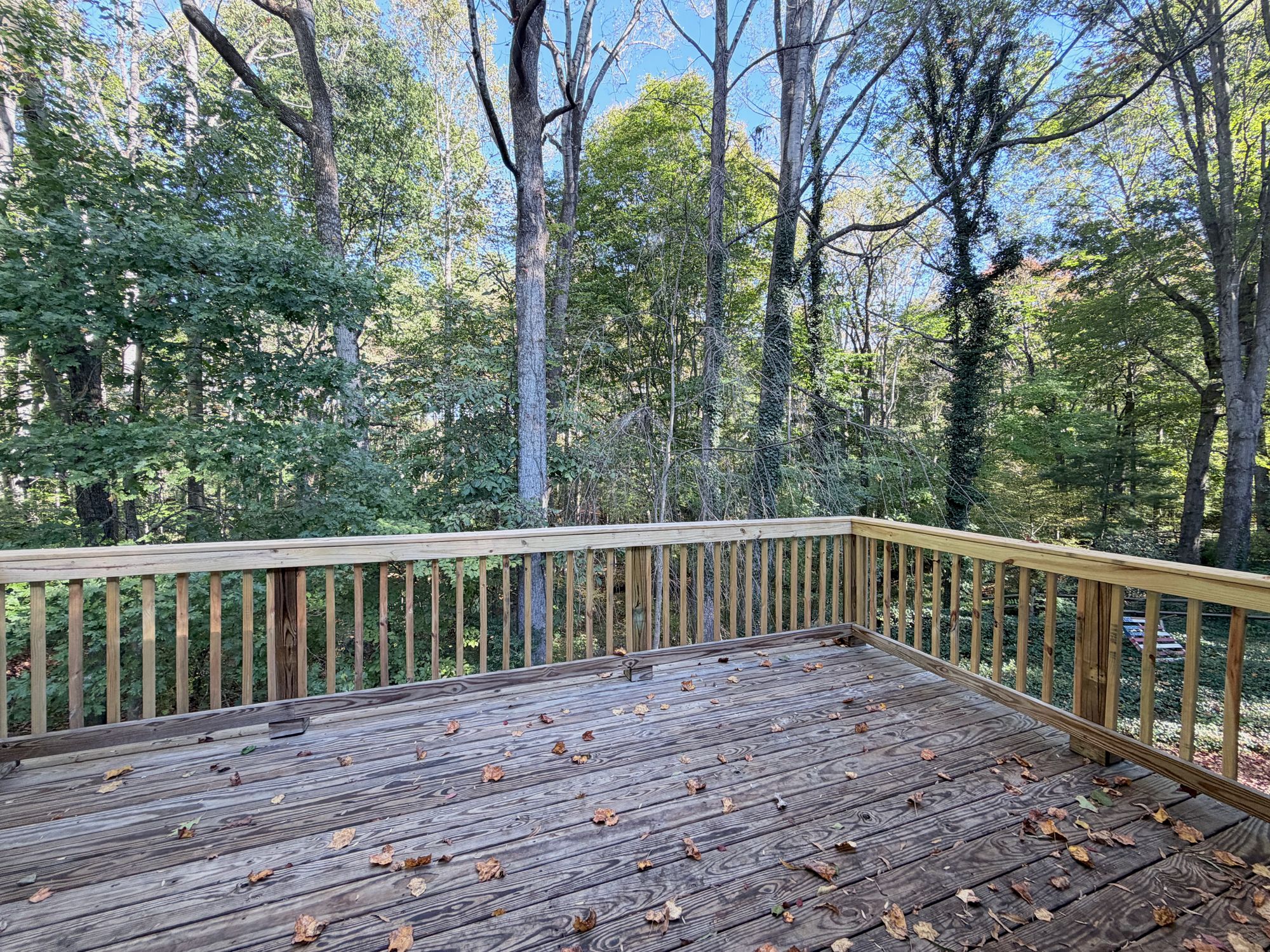 222 Pleasantview Drive — deck