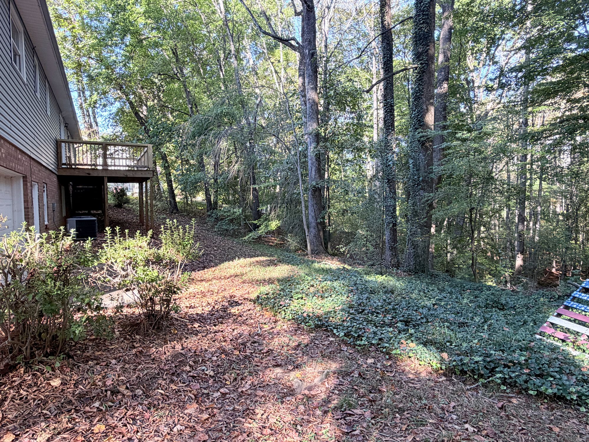 222 Pleasantview Drive — backyard